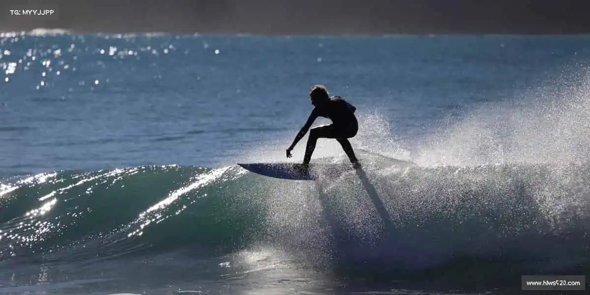 为什么选择我们